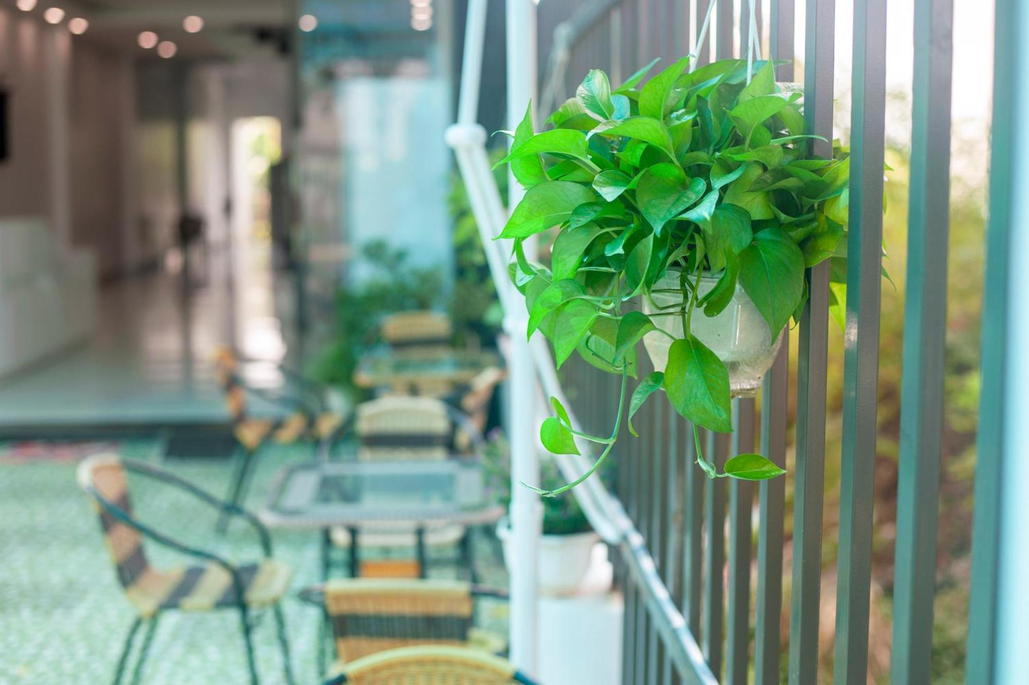 Tam Coc Peaceful Hotel Ninh Binh Bagian luar foto